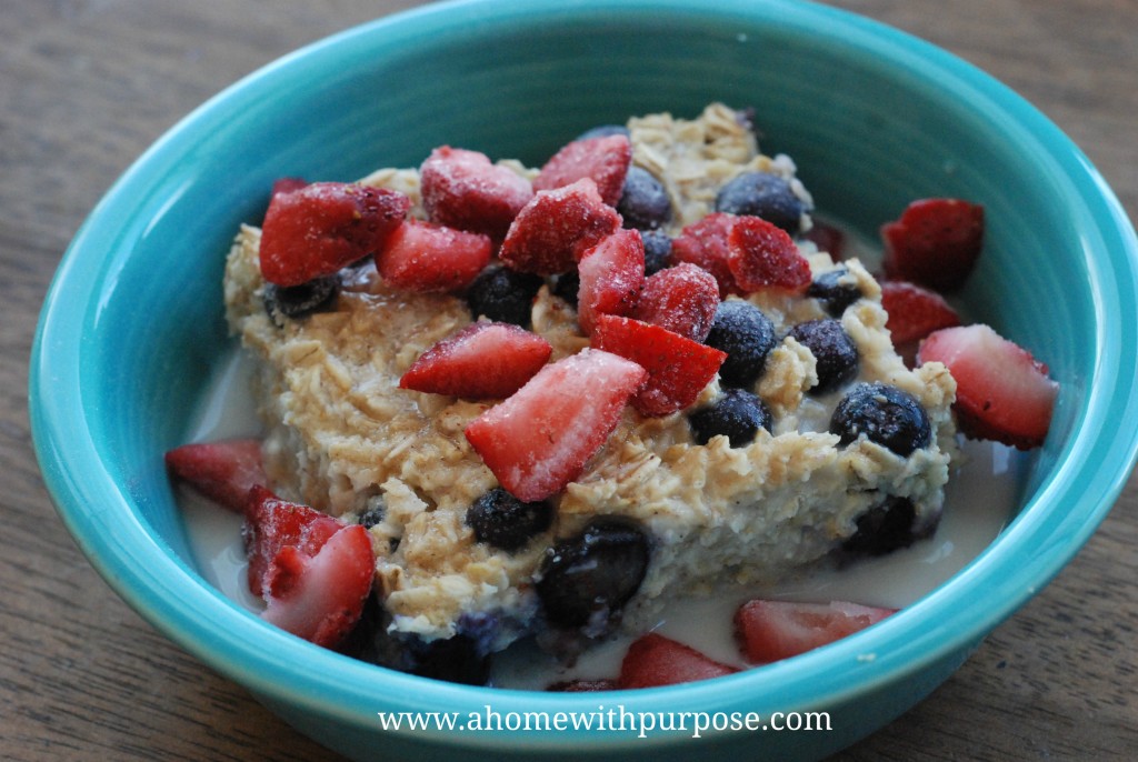 Baked Blueberry Oatmeal (E) – A Home with Purpose