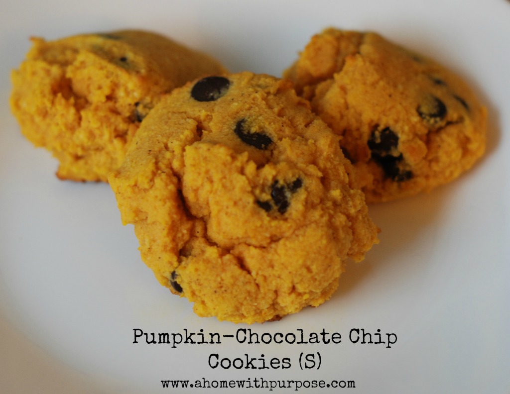 Pumpkin-Chocolate Chip Cookies (S)