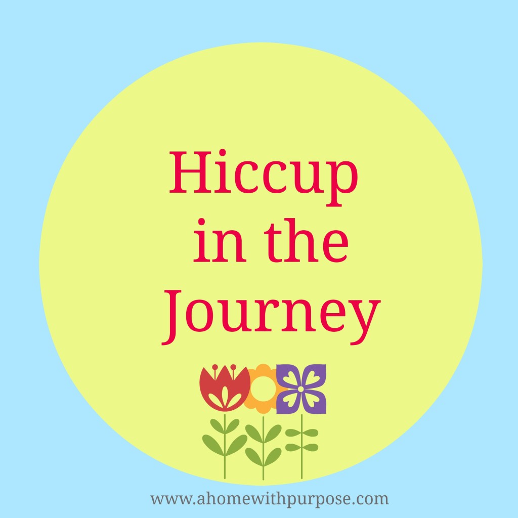 hiccupinthejourney