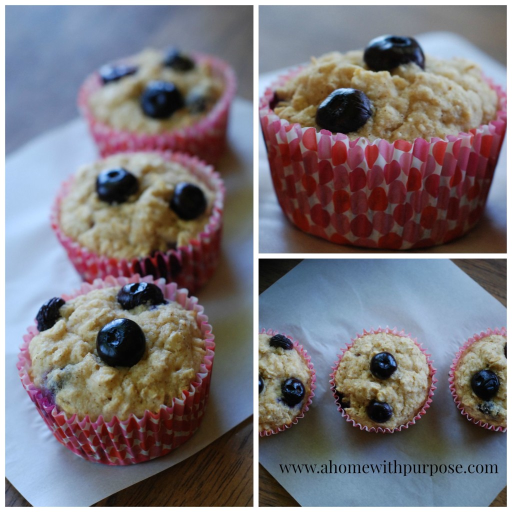 blueberrymuffins