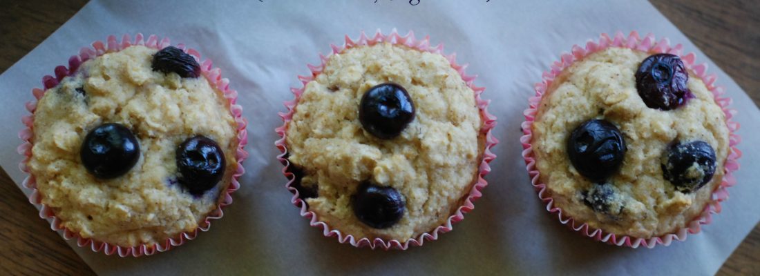 blueberrymuffins2