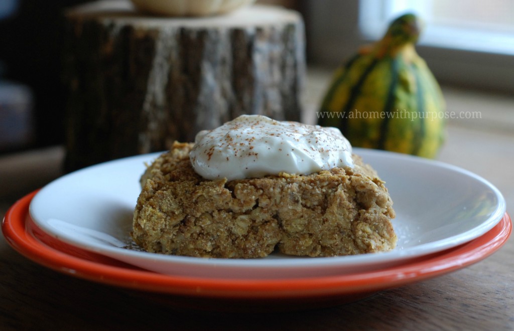 gingerbreadbakedoatmeal